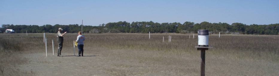 Two people at a well transect in a salt marsh